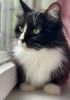 Margo (4)